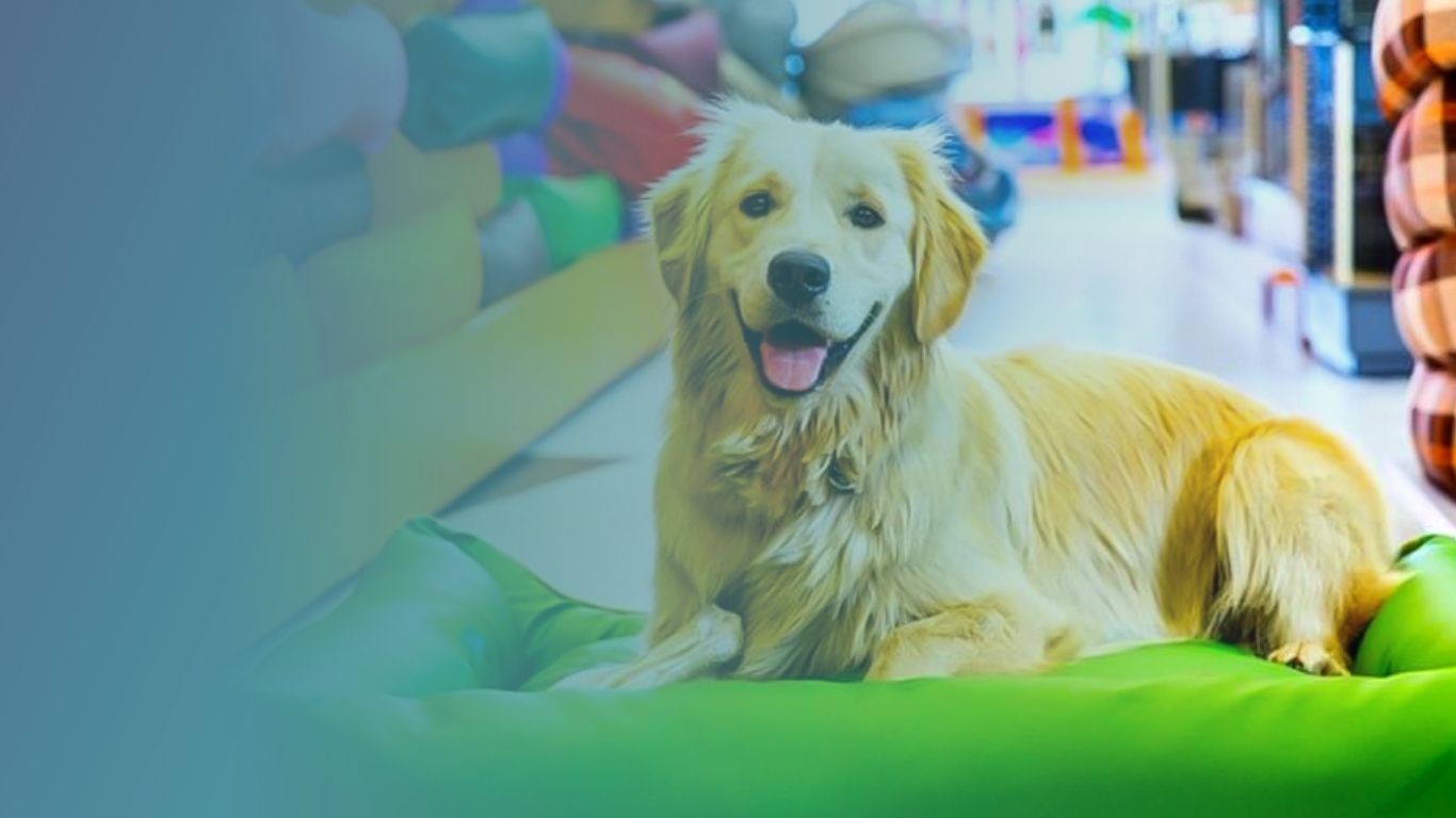 PetShop CIMEV