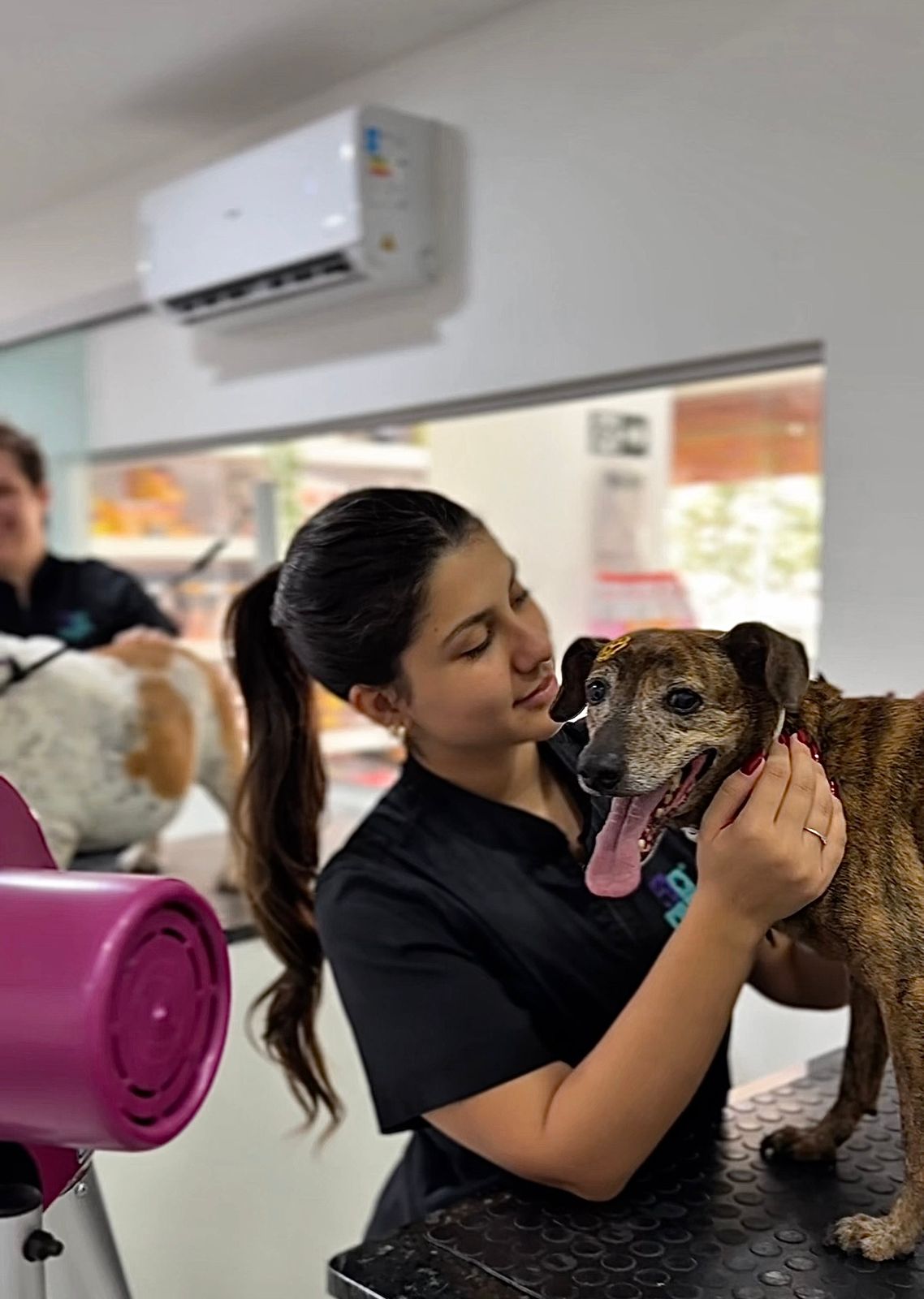 Fernanda com cachorro no banho e tosa CIMEV
