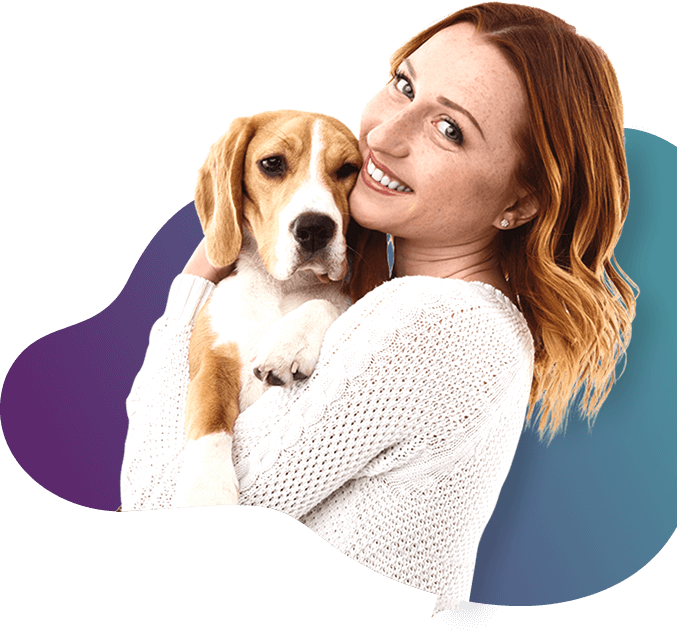 Cuidado com pets